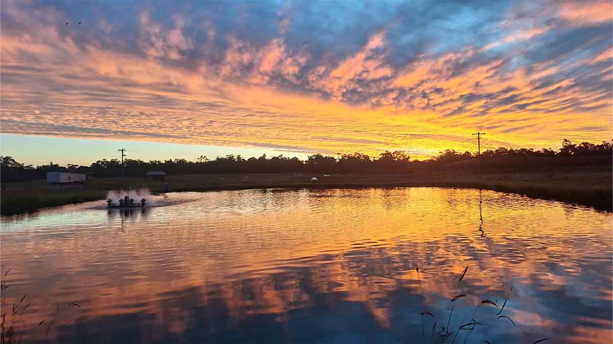 sunset over aquaculture farm queensland australia